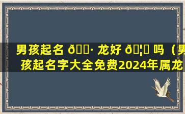 男孩起名 🕷 龙好 🦊 吗（男孩起名字大全免费2024年属龙）